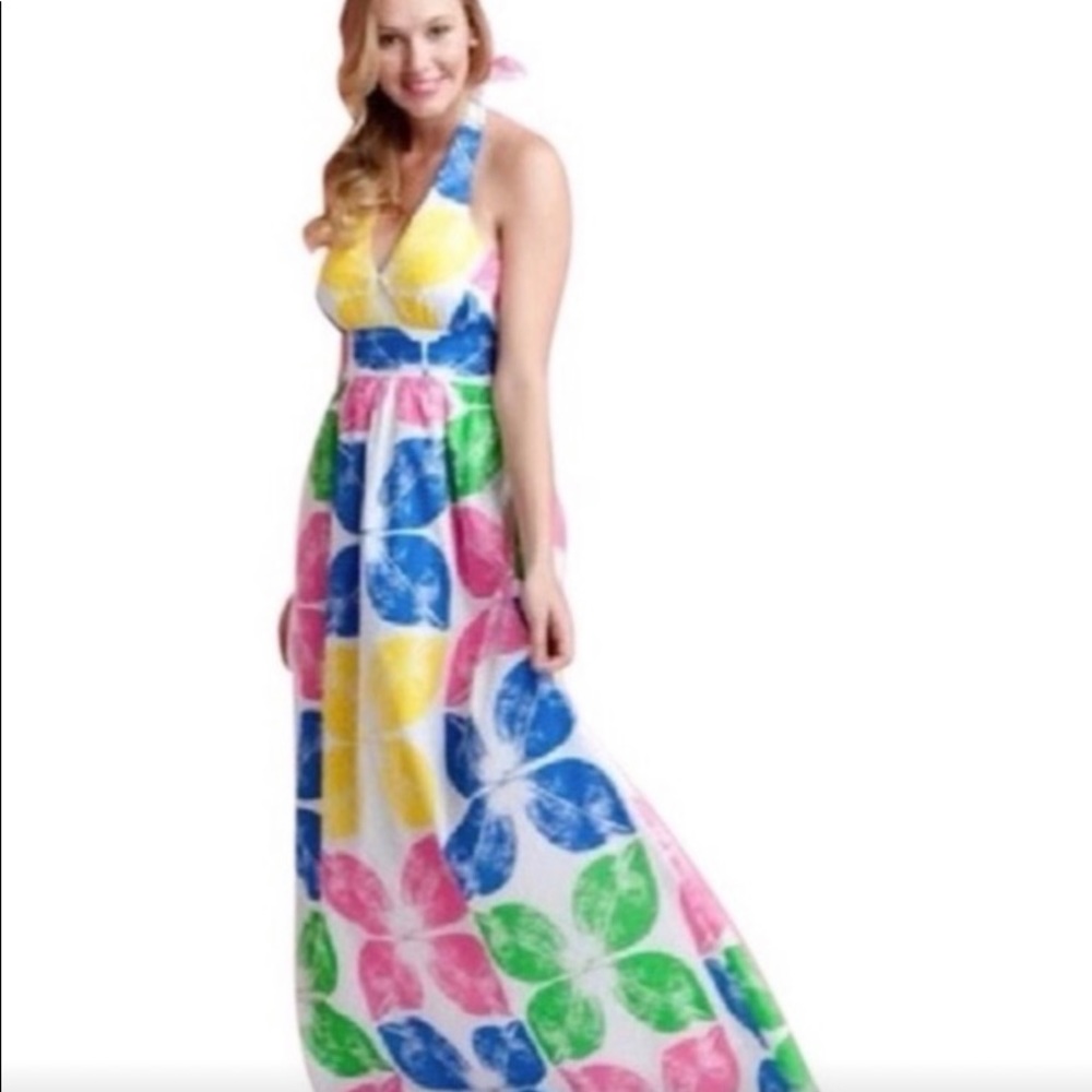 NWT size 8 Lilly Pulitzer Maxine Floral Maxi Dress